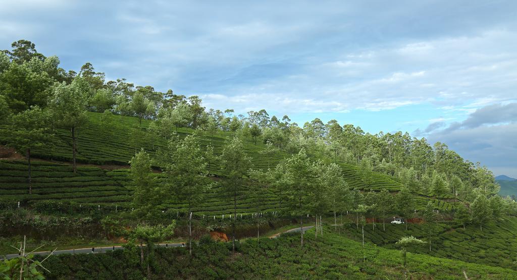 Hotel Elysium Garden Munnar Zewnętrze zdjęcie